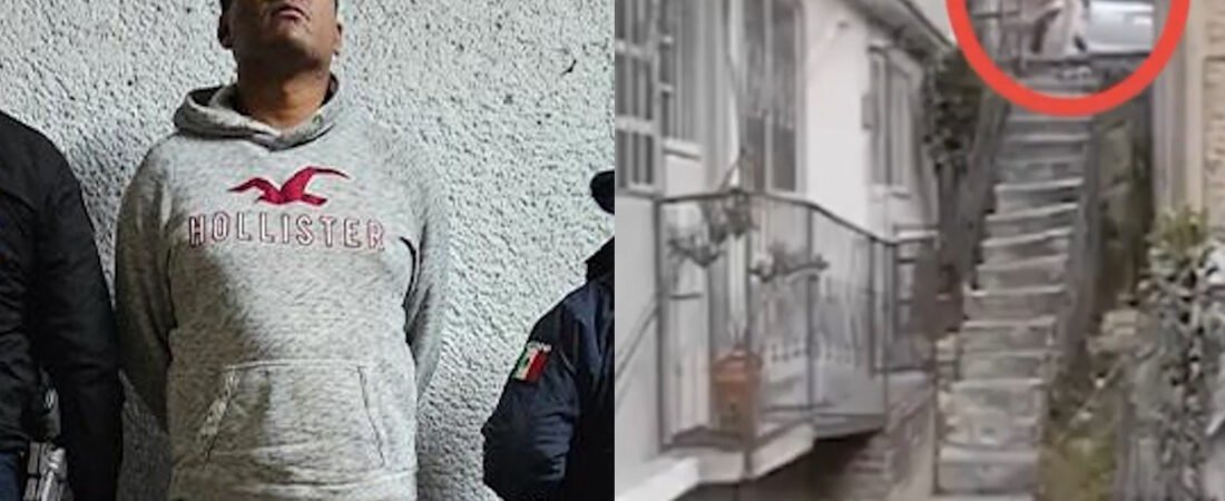 Dictan prisión preventiva a hombre acusado de arrojar al perro “Lobito” desde 10 metros de altura