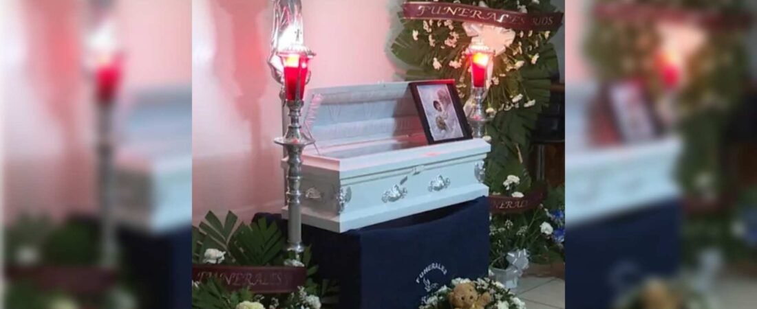 El primer Festival de las Flores contará con talleres de gastronomía con flores comestibles, venta de plantas y conciertos